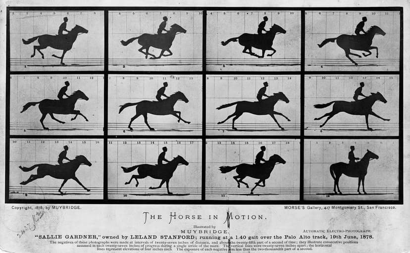 The Horse in Motion