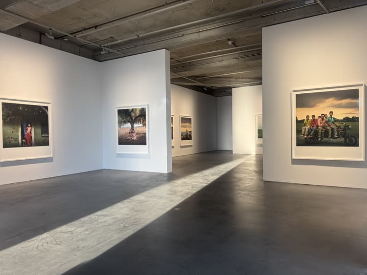 Yolda sergisinden bir kare