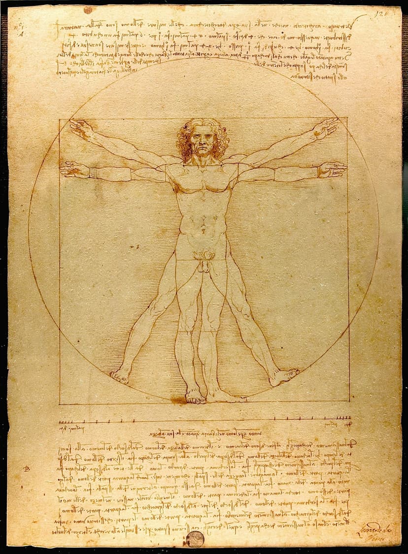 Leonardo da Vinci, Vitruvius Adamı