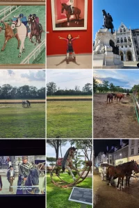 Modern zamanın dijital kolajı; Galloping Adventures temalı bir algoritma seçkisi.